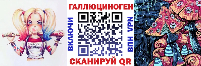 сколько стоит это состав Галлюциногенные грибы Cubensis Химки
